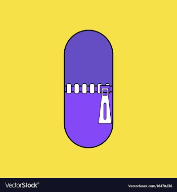 Flat icon design collection capsule with zip vector image
