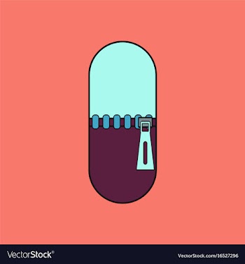 Flat icon design collection capsule with zip vector image