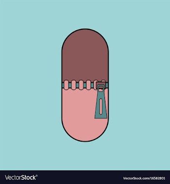 Flat icon design collection capsule with zip vector image