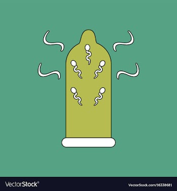 Flat icon design collection condom and spermatozoa vector image