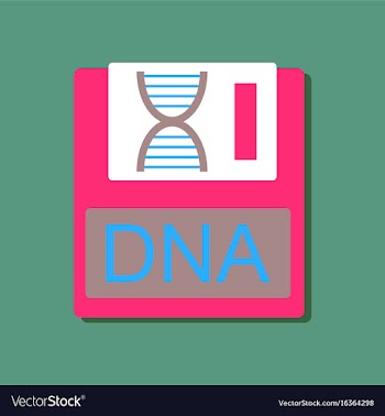 Flat icon design collection dna disk in sticker vector image