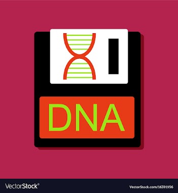 Flat icon design collection dna disk in sticker vector image