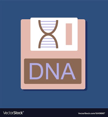 Flat icon design collection dna disk in sticker vector image