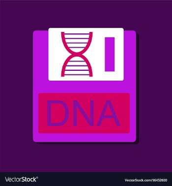 Flat icon design collection dna disk in sticker vector image