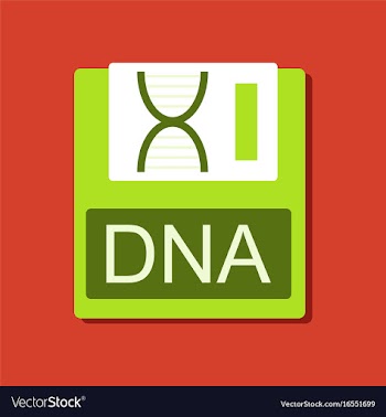 Flat icon design collection dna disk in sticker vector image