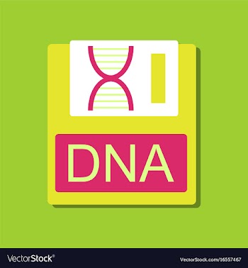 Flat icon design collection dna disk in sticker vector image
