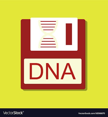 Flat icon design collection dna disk in sticker vector image