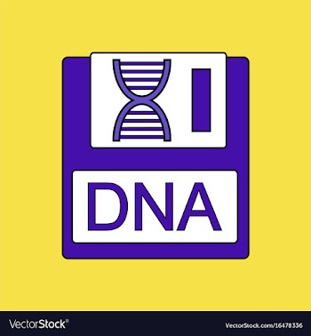 Flat icon design collection dna disk vector image