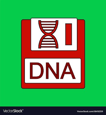 Flat icon design collection dna disk vector image