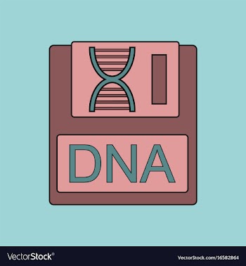 Flat icon design collection dna disk vector image