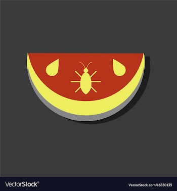 Flat icon design collection earth layers in vector image