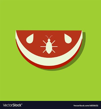 Flat icon design collection earth layers in vector image