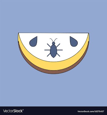 Flat icon design collection earth layers vector image