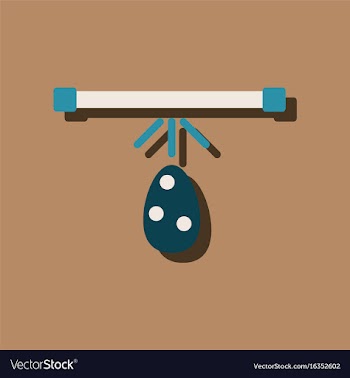Flat icon design collection effect on egg in vector image