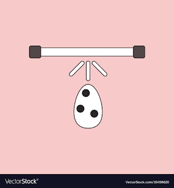 Flat icon design collection effect on egg vector image