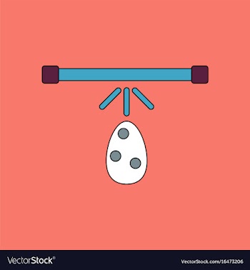 Flat icon design collection effect on egg vector image