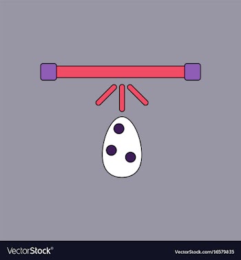 Flat icon design collection effect on egg vector image