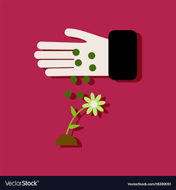 Flat icon design collection fertilizer and flower vector image