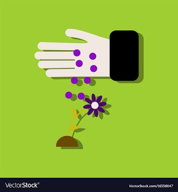 Flat icon design collection fertilizer and flower vector image