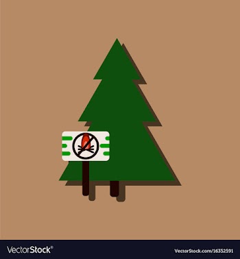 Flat icon design collection fir-tree with plaque vector image