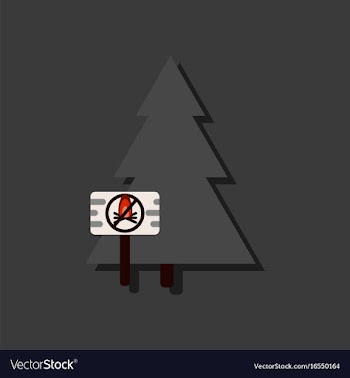 Flat icon design collection fir-tree with plaque vector image
