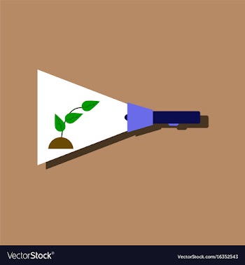 Flat icon design collection flashlight and plant vector image