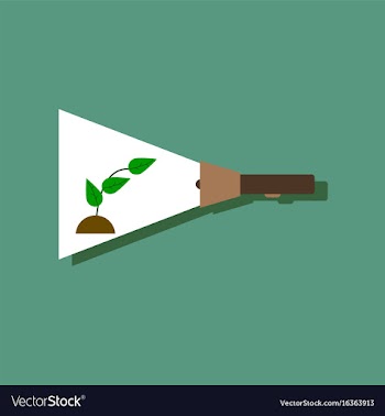 Flat icon design collection flashlight and plant vector image
