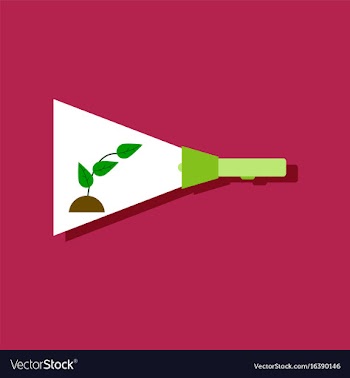 Flat icon design collection flashlight and plant vector image