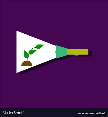 Flat icon design collection flashlight and plant vector image