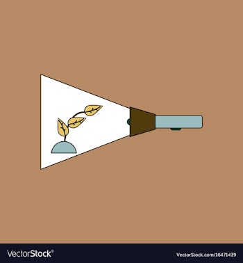 Flat icon design collection flashlight and plant vector image