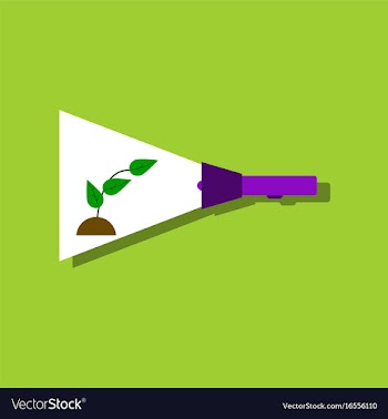 Flat icon design collection flashlight and plant vector image