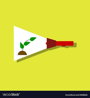 Flat icon design collection flashlight and plant vector image