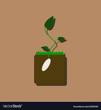 Flat icon design collection flower buds in vector image