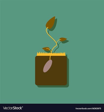 Flat icon design collection flower buds in vector image