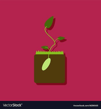Flat icon design collection flower buds in vector image