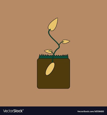 Flat icon design collection flower buds vector image