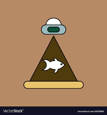 Flat icon design collection flying saucer and fish vector image