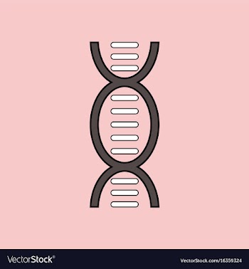 Flat icon design collection human dna vector image