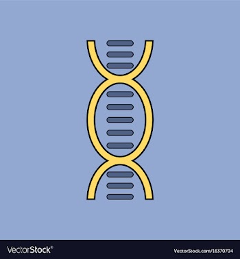 Flat icon design collection human dna vector image