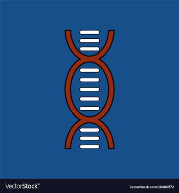 Flat icon design collection human dna vector image