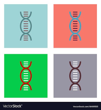 Flat icon design collection human dna vector image