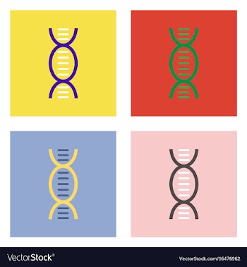 Flat icon design collection human dna vector image