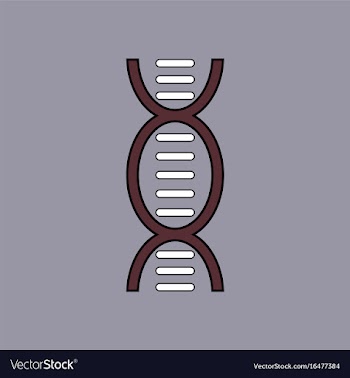 Flat icon design collection human dna vector image