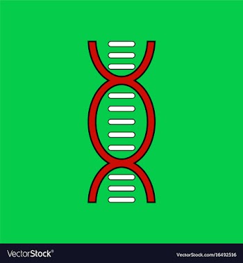 Flat icon design collection human dna vector image
