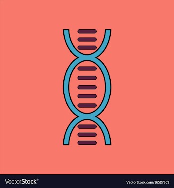 Flat icon design collection human dna vector image