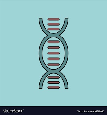Flat icon design collection human dna vector image