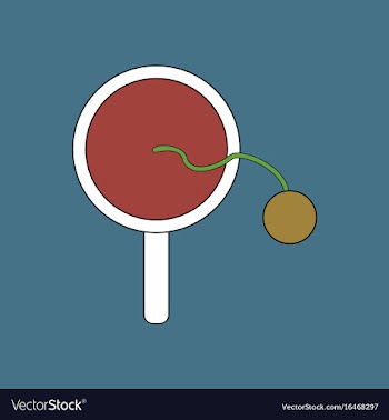 Flat icon design collection kids racket and ball vector image