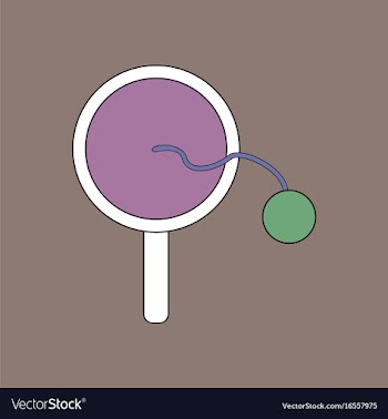 Flat icon design collection kids racket and ball vector image