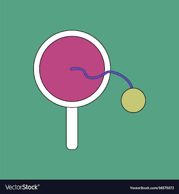 Flat icon design collection kids racket and ball vector image