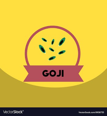 Flat icon design collection Kitchenware vector image
